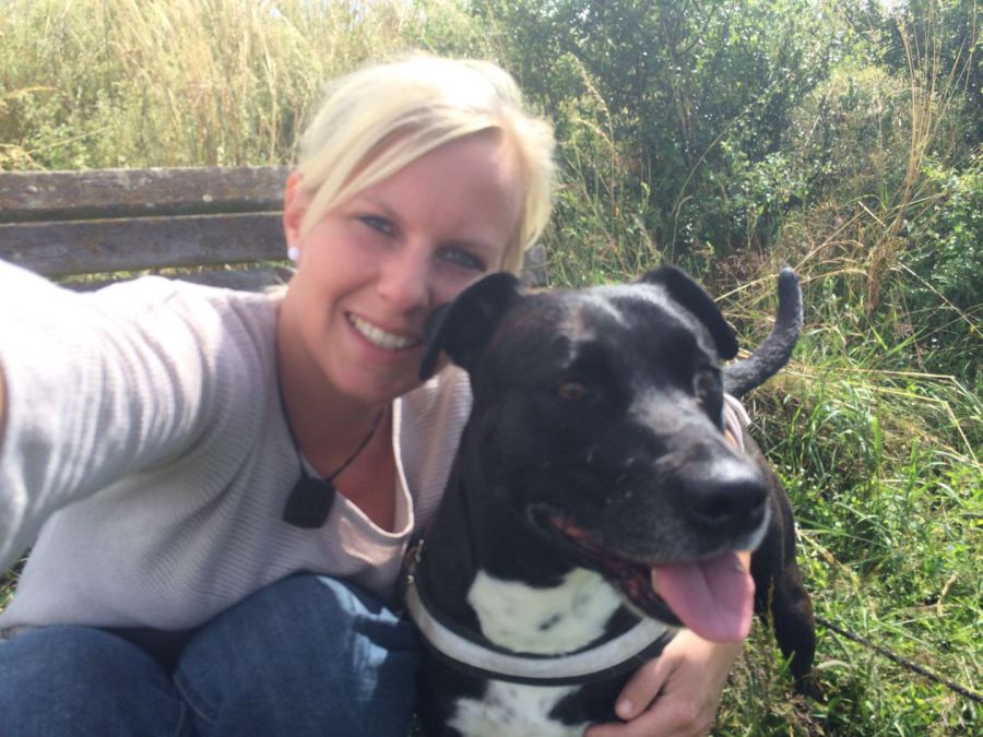 Second Hand Hunde in Not Wer wir sind